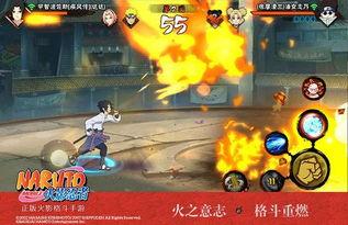 忍者爆料解说视频在线观看,独家爆料解说视频在线观看  第1张