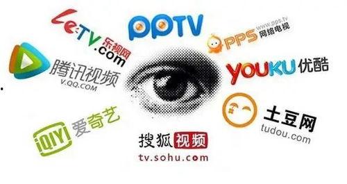 黑客爆料正能量视频网址,黑客爆料震撼视频网址背后的故事  第1张