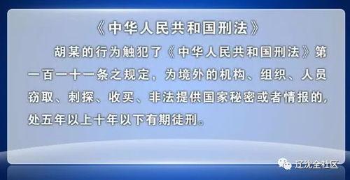 沈阳学生爆料案件最新,校园疑云揭开真相一角  第2张